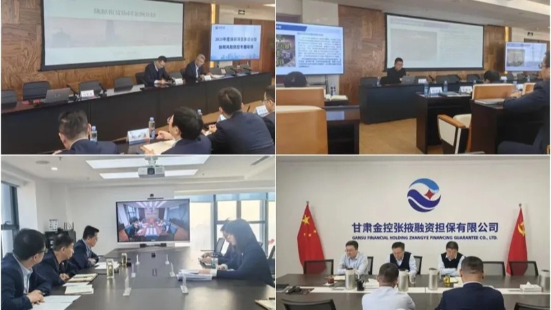  甘肅金控集團(tuán)舉辦2025年度協(xié)同項(xiàng)目推進(jìn)會(huì)暨協(xié)同風(fēng)險(xiǎn)防控專題培訓(xùn)